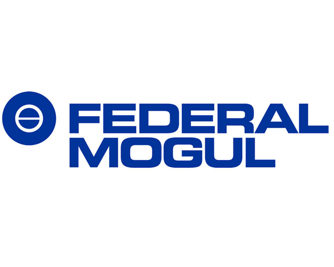 Federal Mogul Ltd